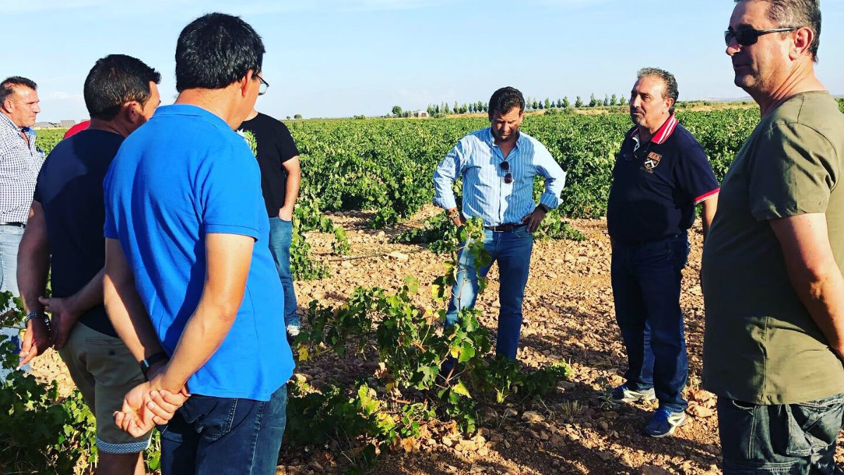 El diputado de VOX Ricardo Chamorro comprueba los efectos de la sequía en un viñedo de Socuéllamos, acompañado de agricultores.
