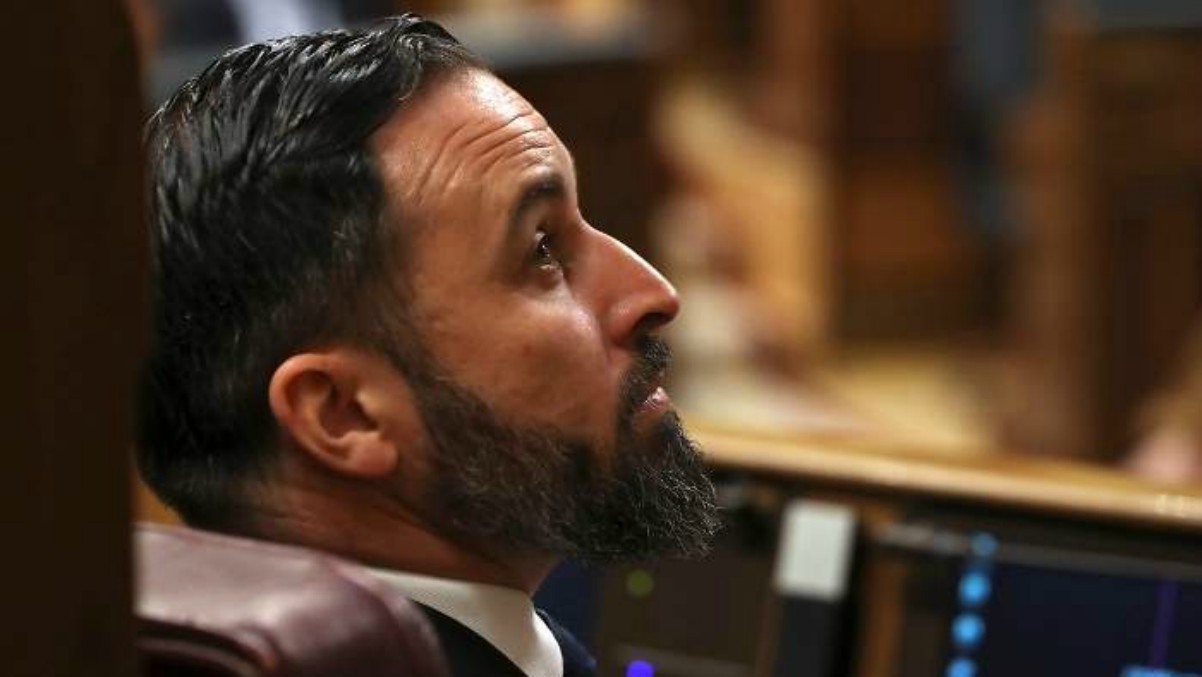 Santiago Abascal, en una sesión en el Congreso