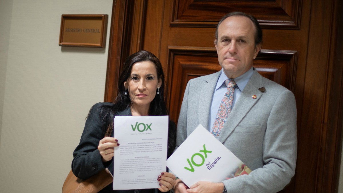 Los diputados del GPVOX Magdalena Nevado y Luis Gestoso