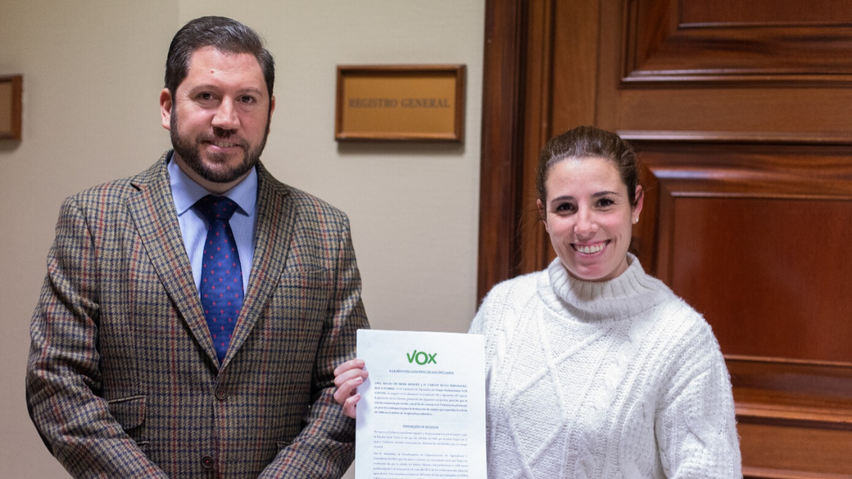 Rocio De Meer y Carlos Fernández en el registro del Congreso