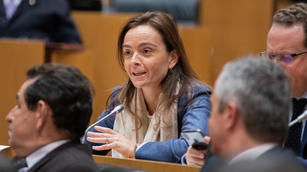 Georgina Trías, diputada de VOX por Ávila