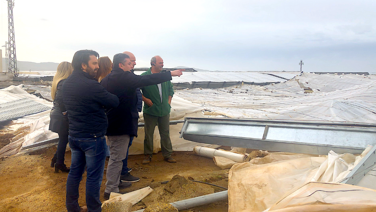 Visita de diputados provinciales a invernaderos caídos en Níjar