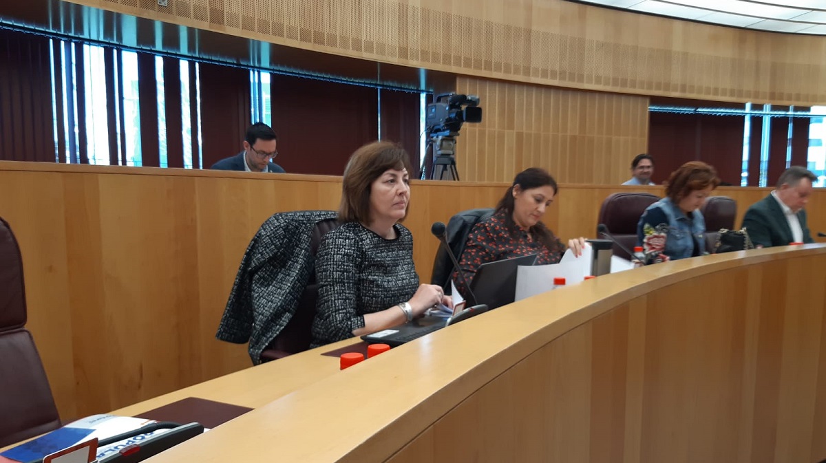 Cristina Jiménez, diputada provincial de VOX Granada