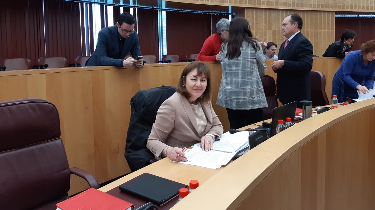 La diputada provincial de VOX en Granada, Cristina Jiménez