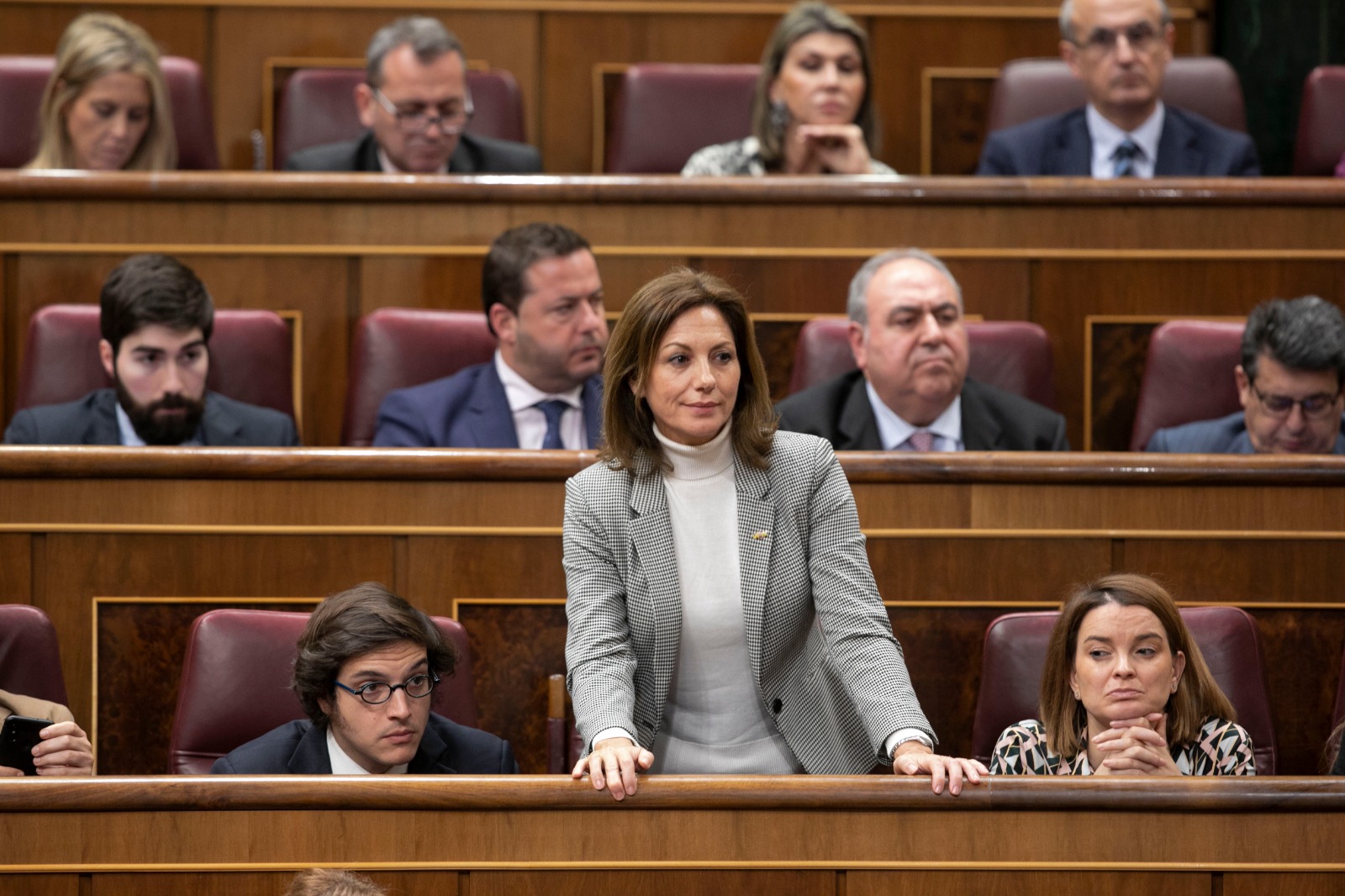 Reyes Romero, en el Congreso de los Diputados