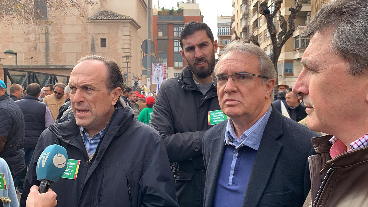 diputados-murcia