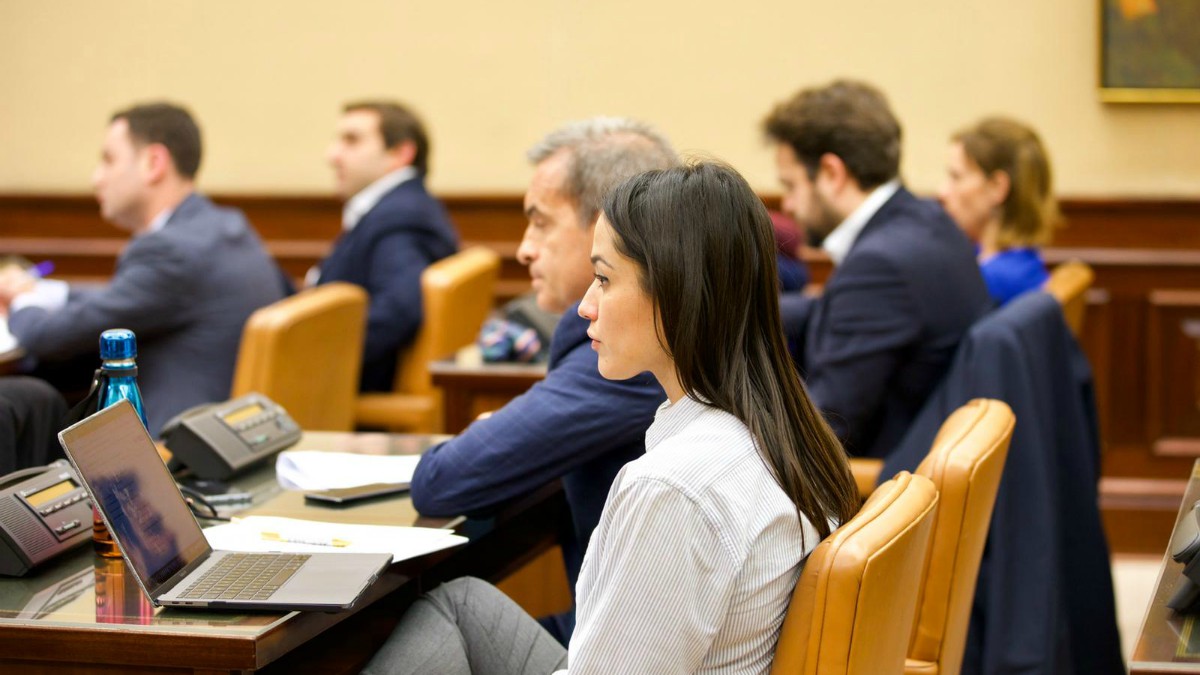 La diputada por Madrid, Mireia Borrás.