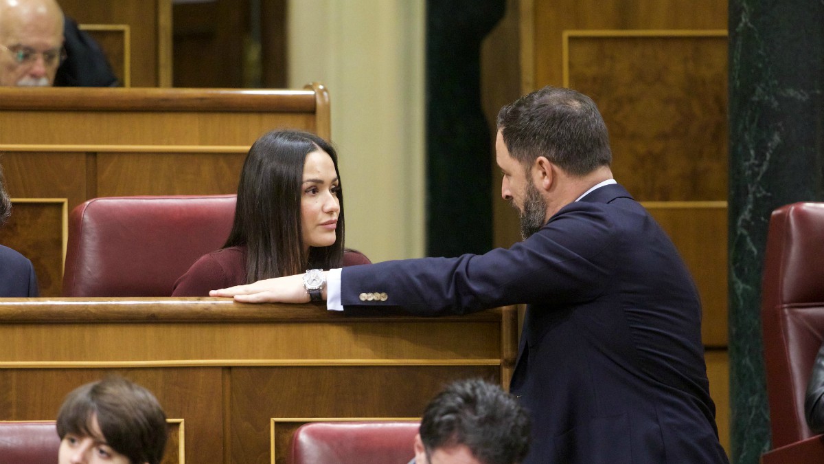 La diputada por Madrid, Mireia Borras