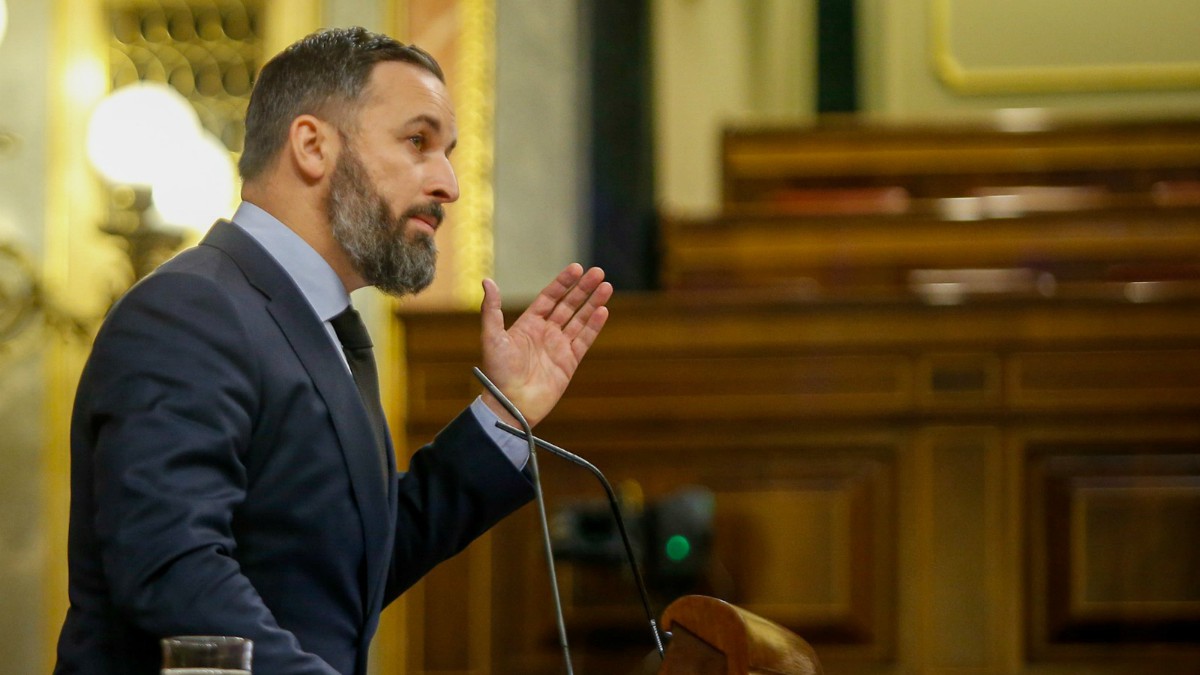 Santiago Abascal en la tribuna del Congreso.