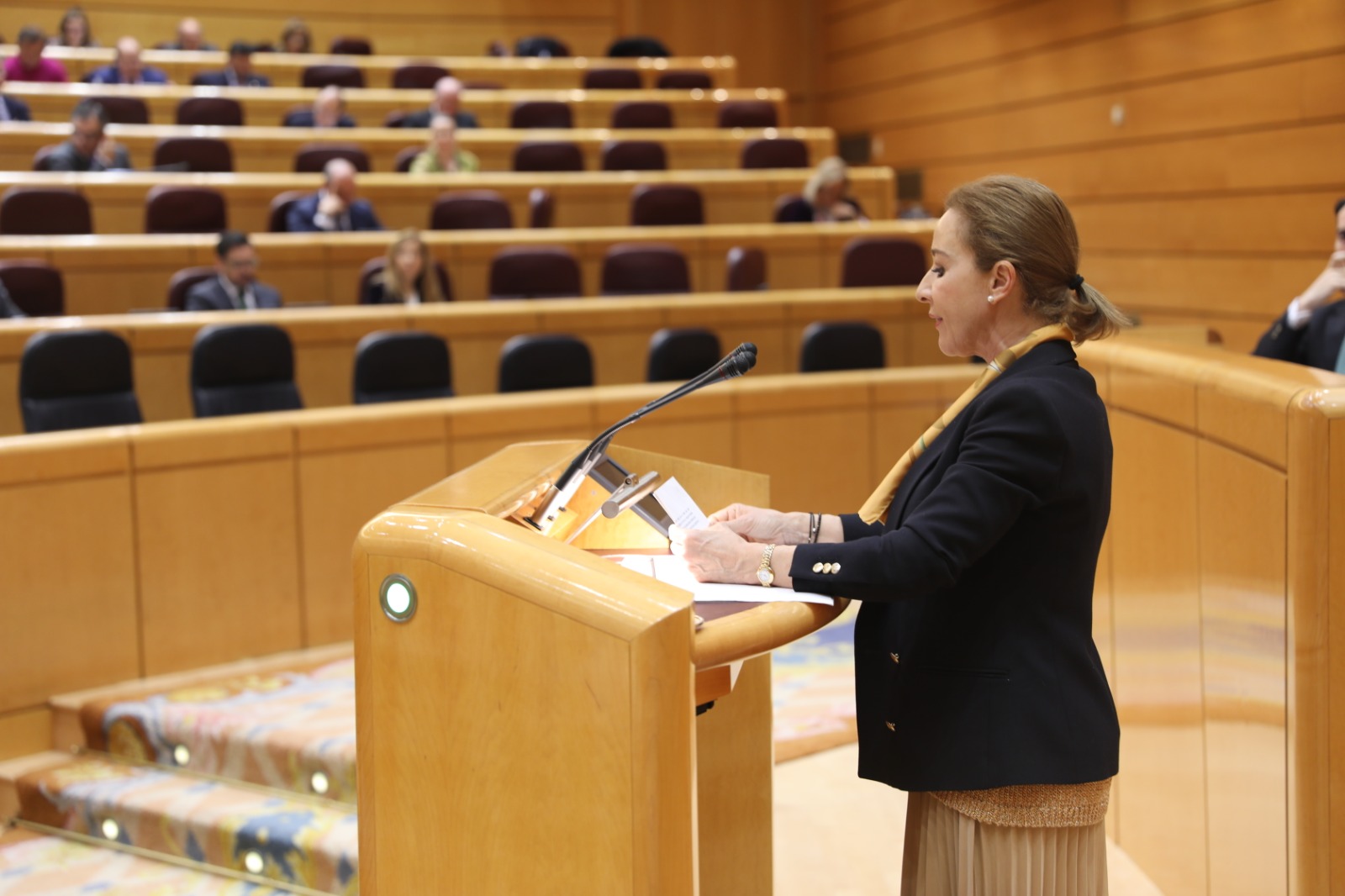 Yolanda Merelo Senado