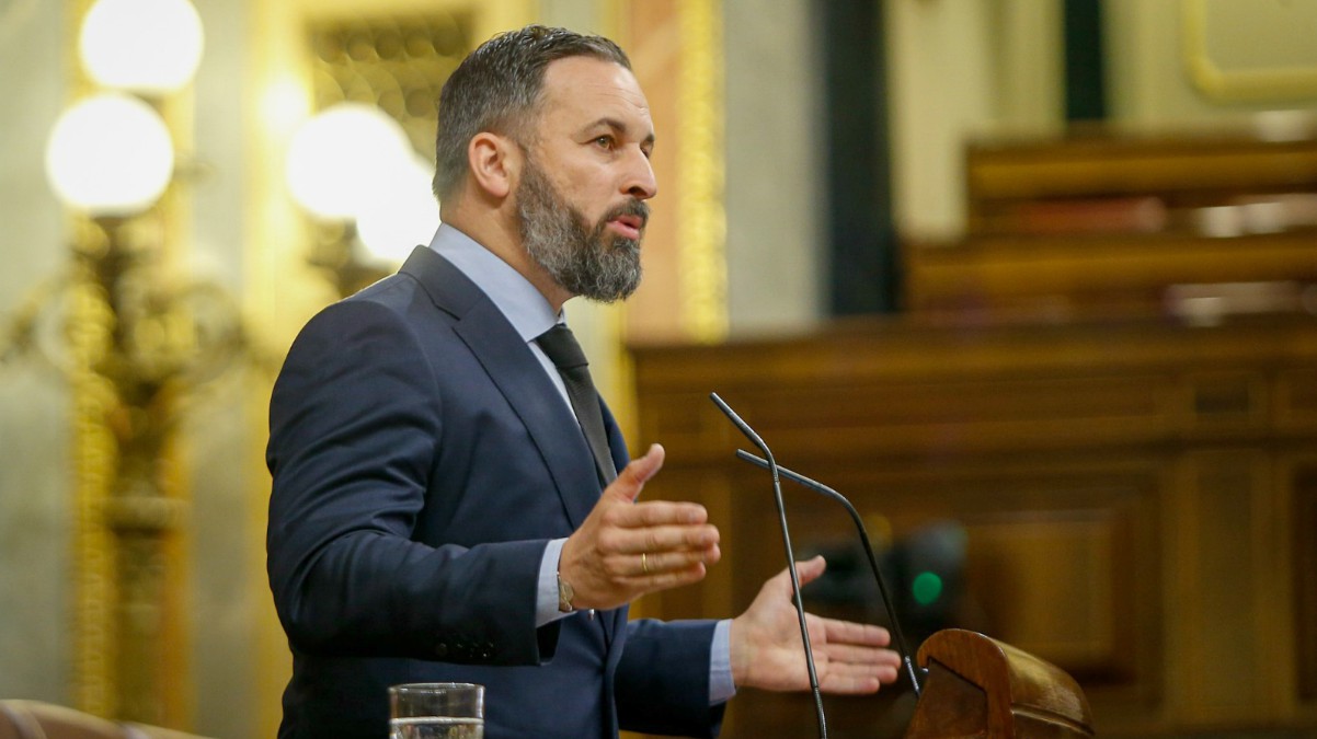 Santiago Abascal en la tribuna del Congreso.