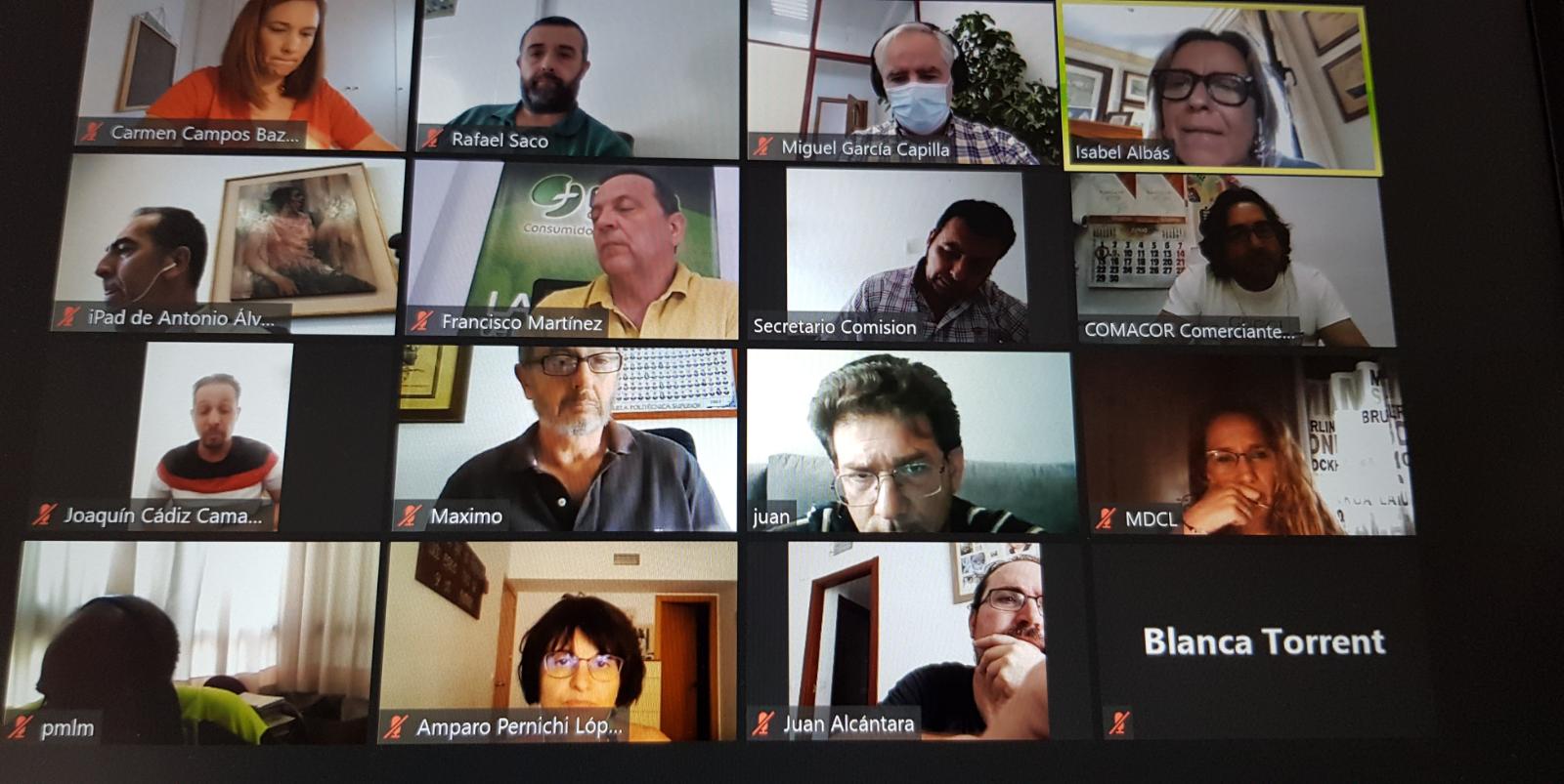 Comisión Extraordinaria Comercio Ambulante