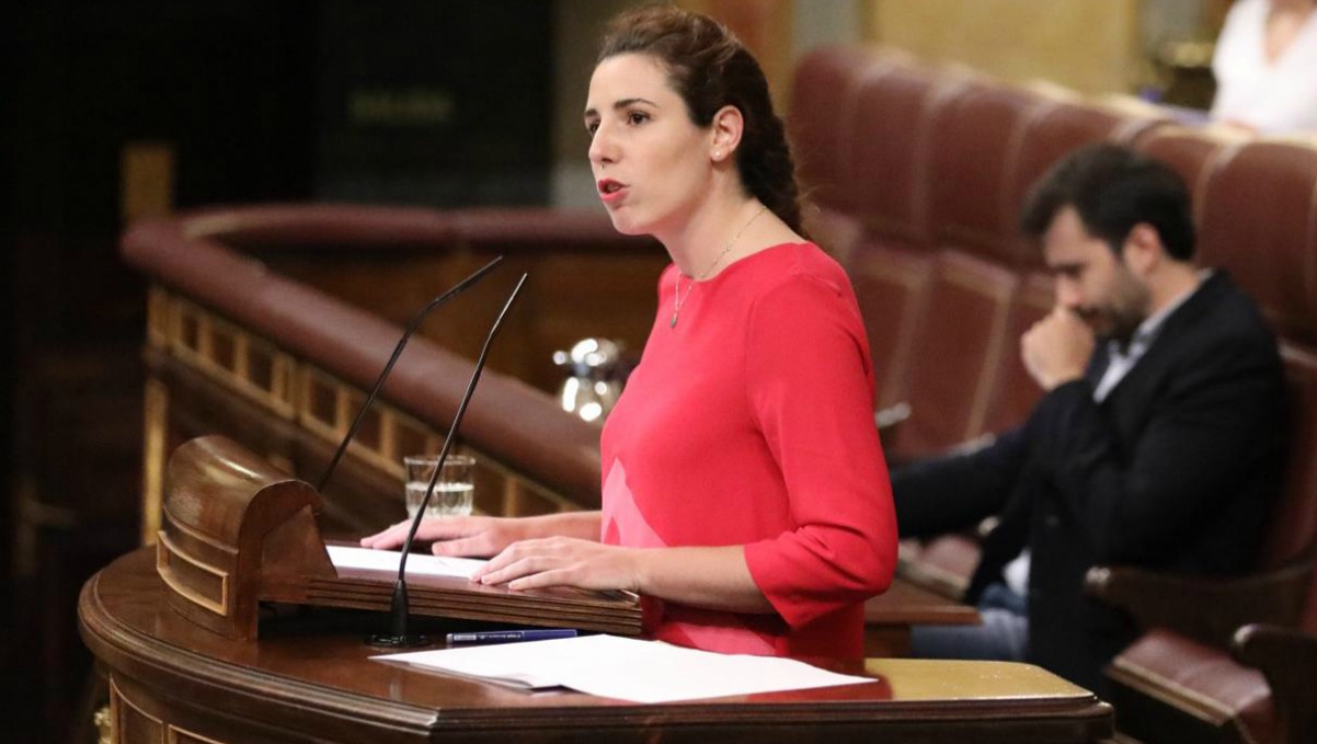 Rocío de Meer en la tribuna del Congreso.