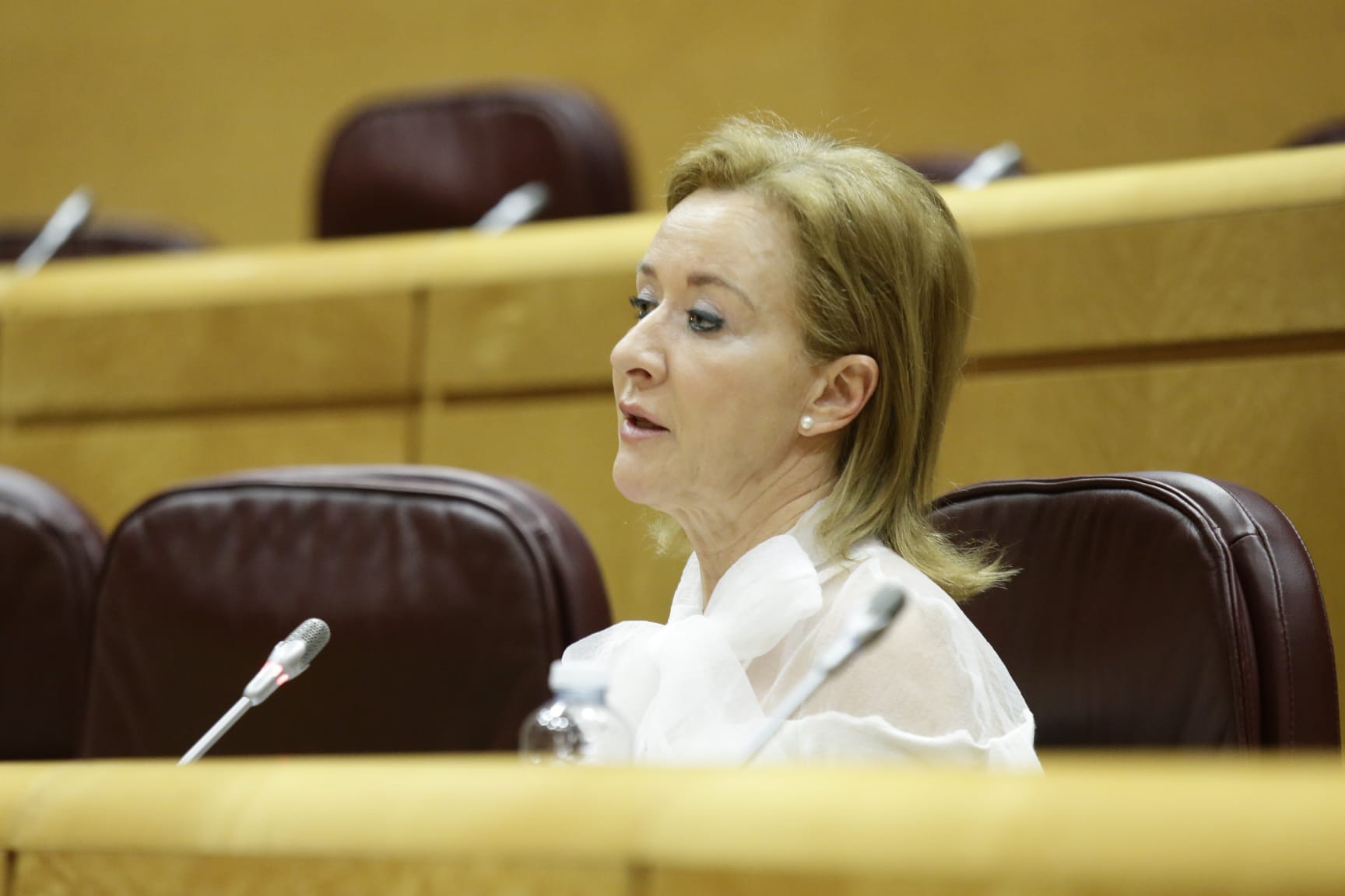 Senado VOX
