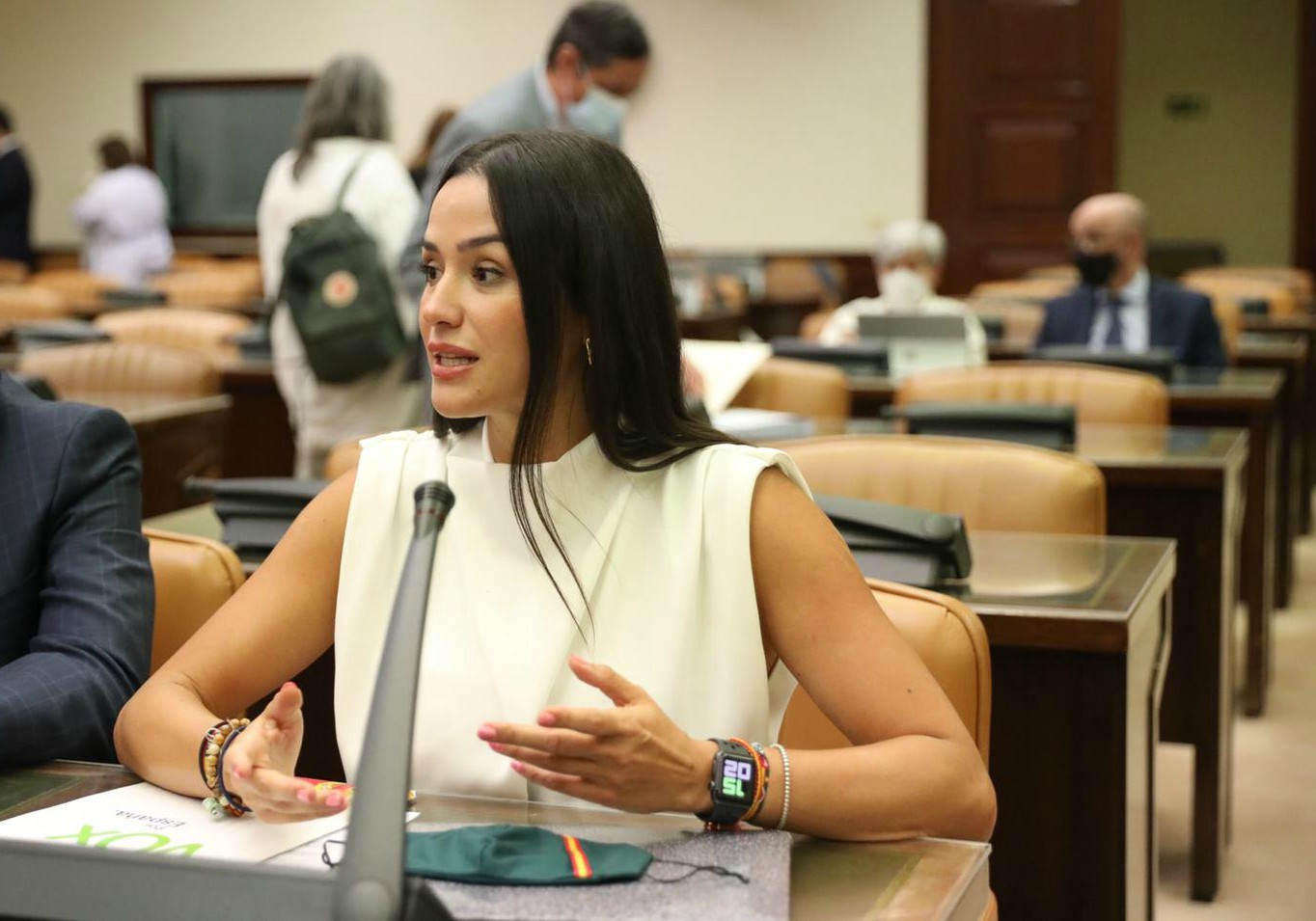 Mireia Borrás en la Comisión de Ciencia e Innovación.