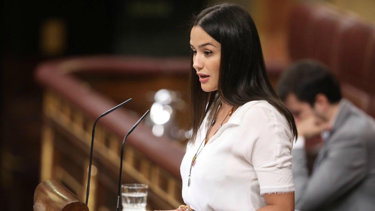 Mireia Borrás en la tribuna del Congreso.