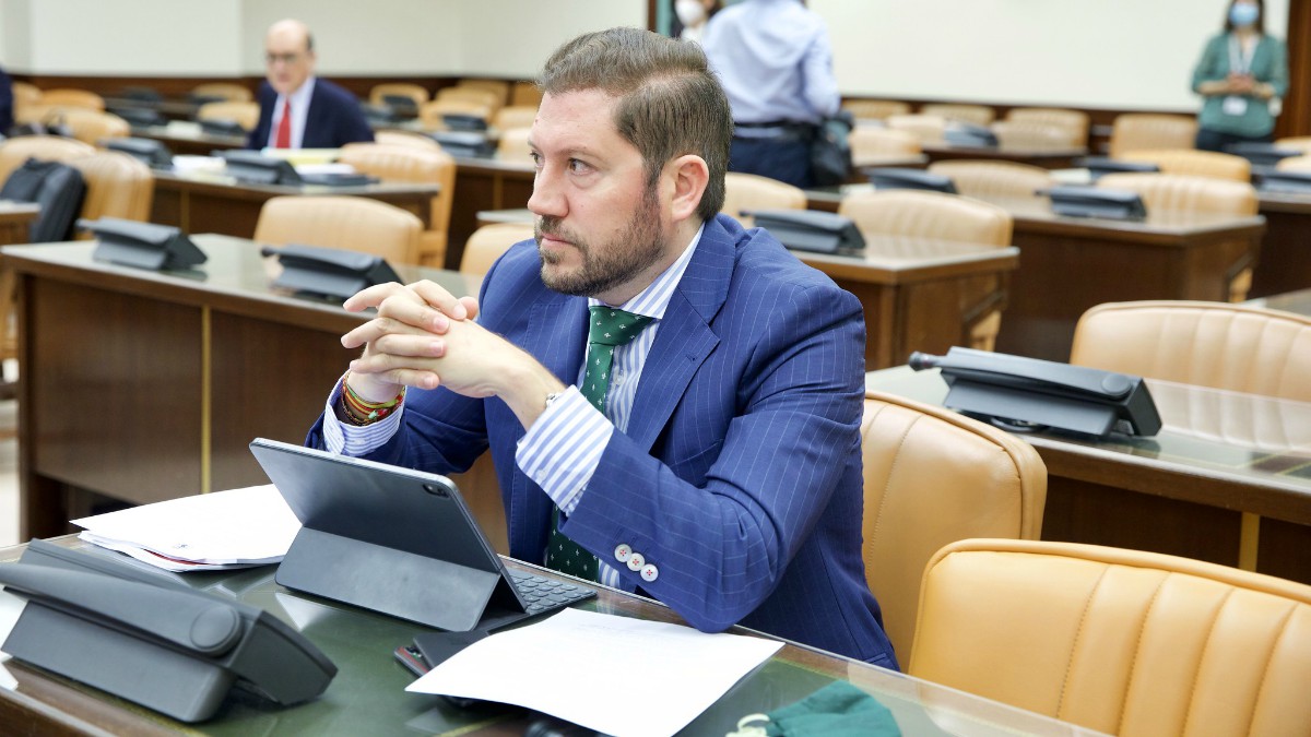 El diputado de VOX, Carlos Fernández Roca, en una comisión del Congreso.