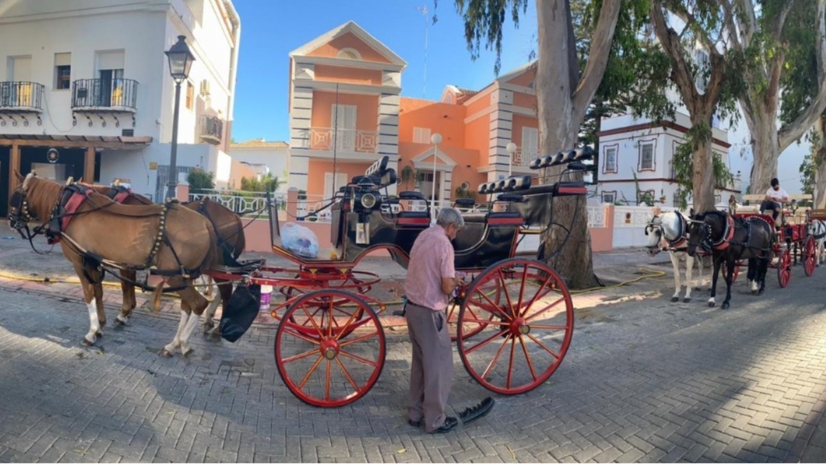 carlos zambrano cocheros turísticos