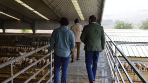 VOX visita una ganadería en Ciudad Real