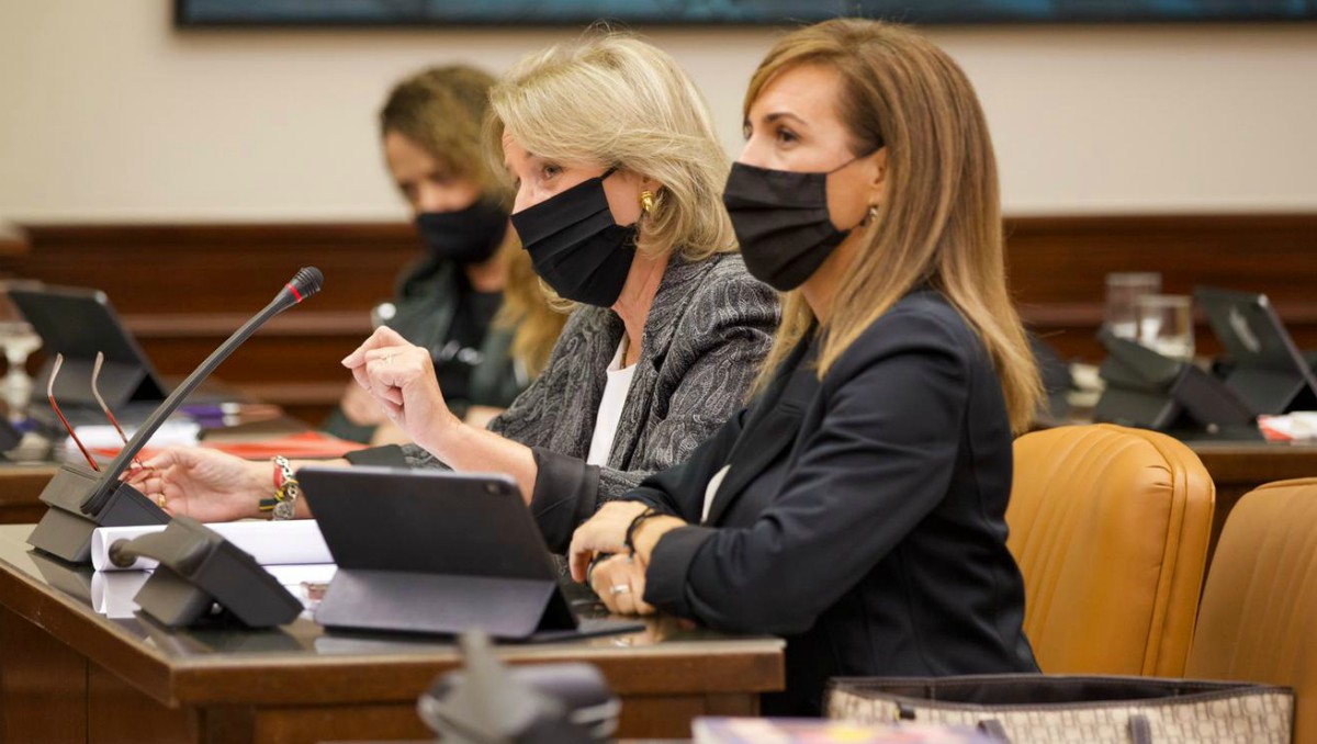 ´Lourdes Méndez en la Comisión de Igualdad