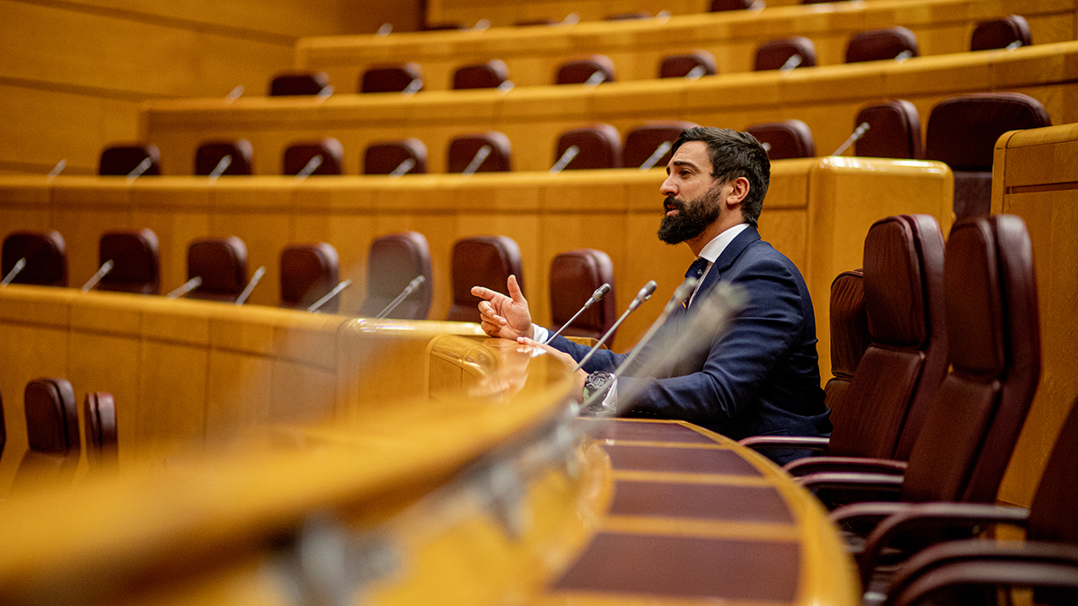 El senador de VOX por Andalucía, en el Pleno del Senado