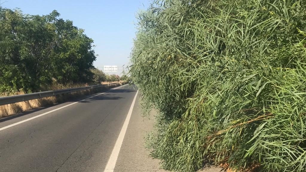 “deseamos saber si el equipo de gobierno de nuestro ayuntamiento tiene conocimiento de estas denuncias sistemáticas llevadas a cabo por los colectivos ciclistas