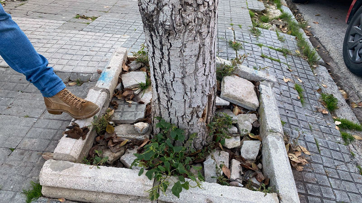 VOX Cádiz abandono
