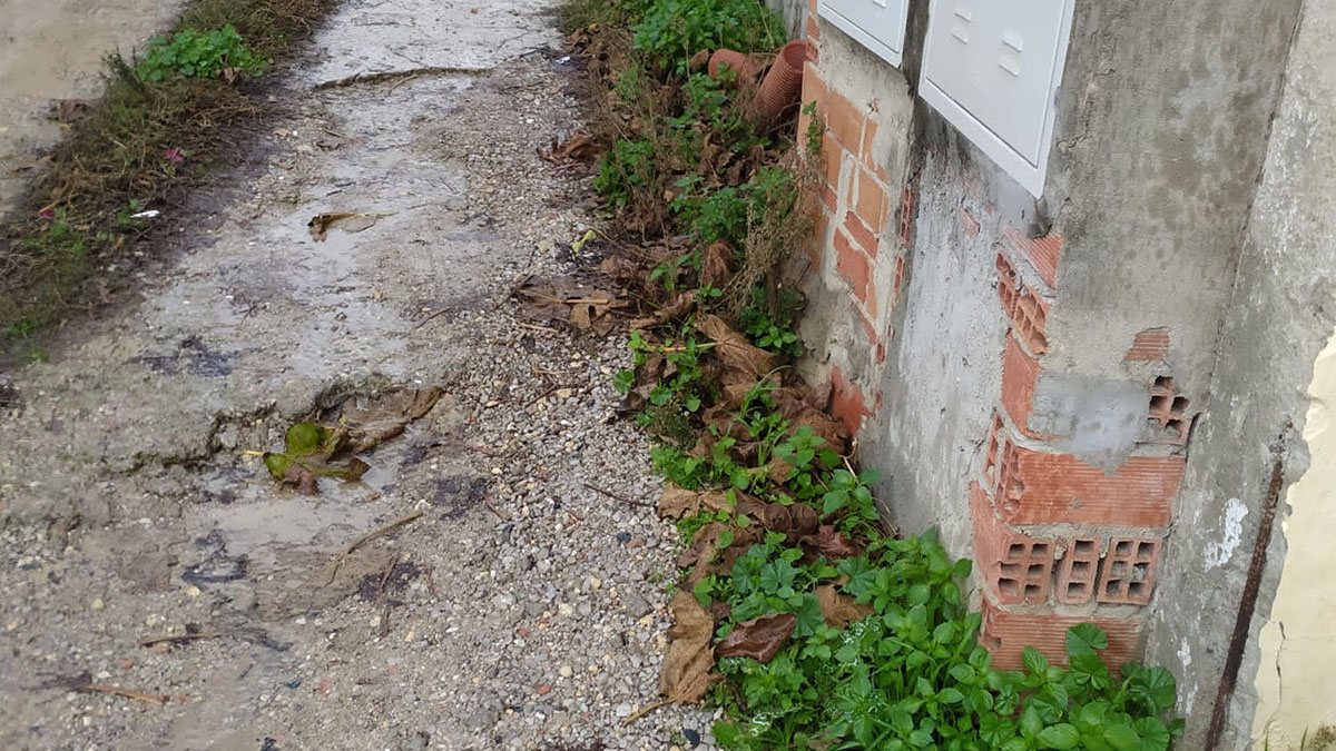 VOX Los Barrios presas