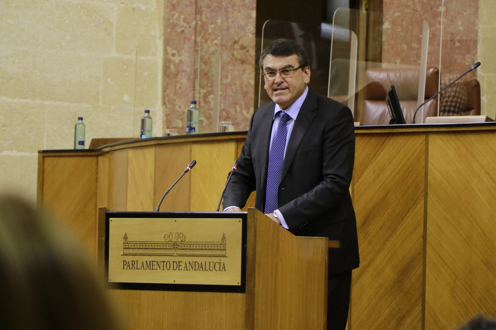Rafael Segovia, durante su intervención ayer en el Parlamento andaluz.