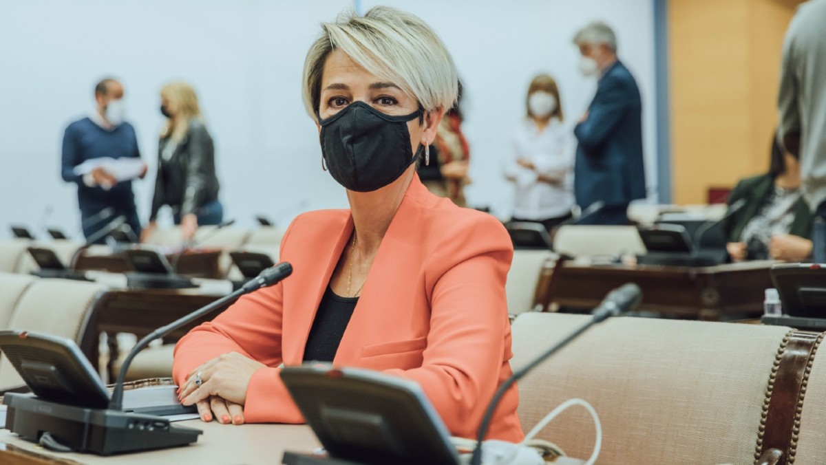 Inés Cañizares en la Comisión de Hacienda