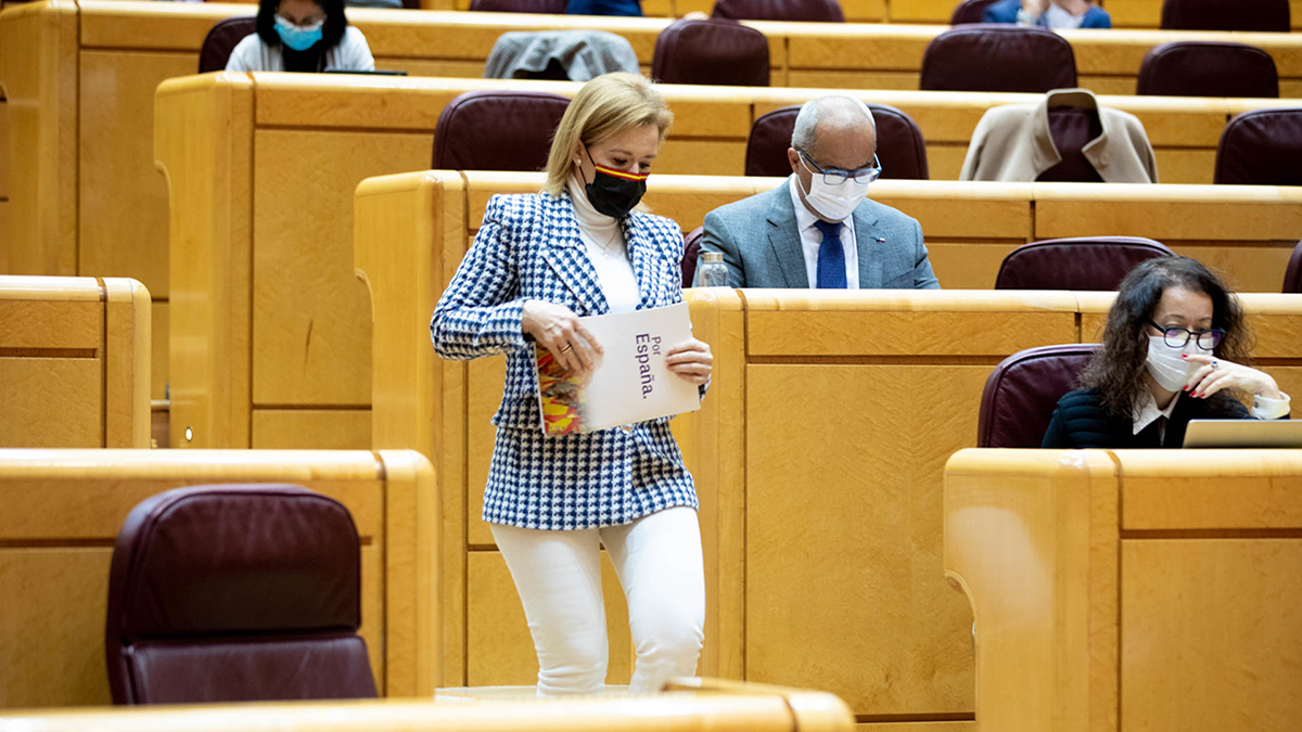 Yolanda Merelo, en el Pleno del Senado