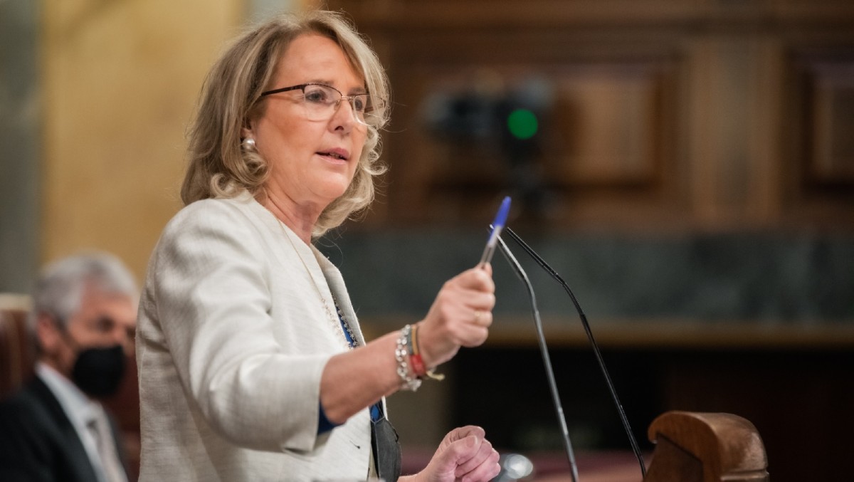 Lourdes Méndez en la tribuna del Congreso