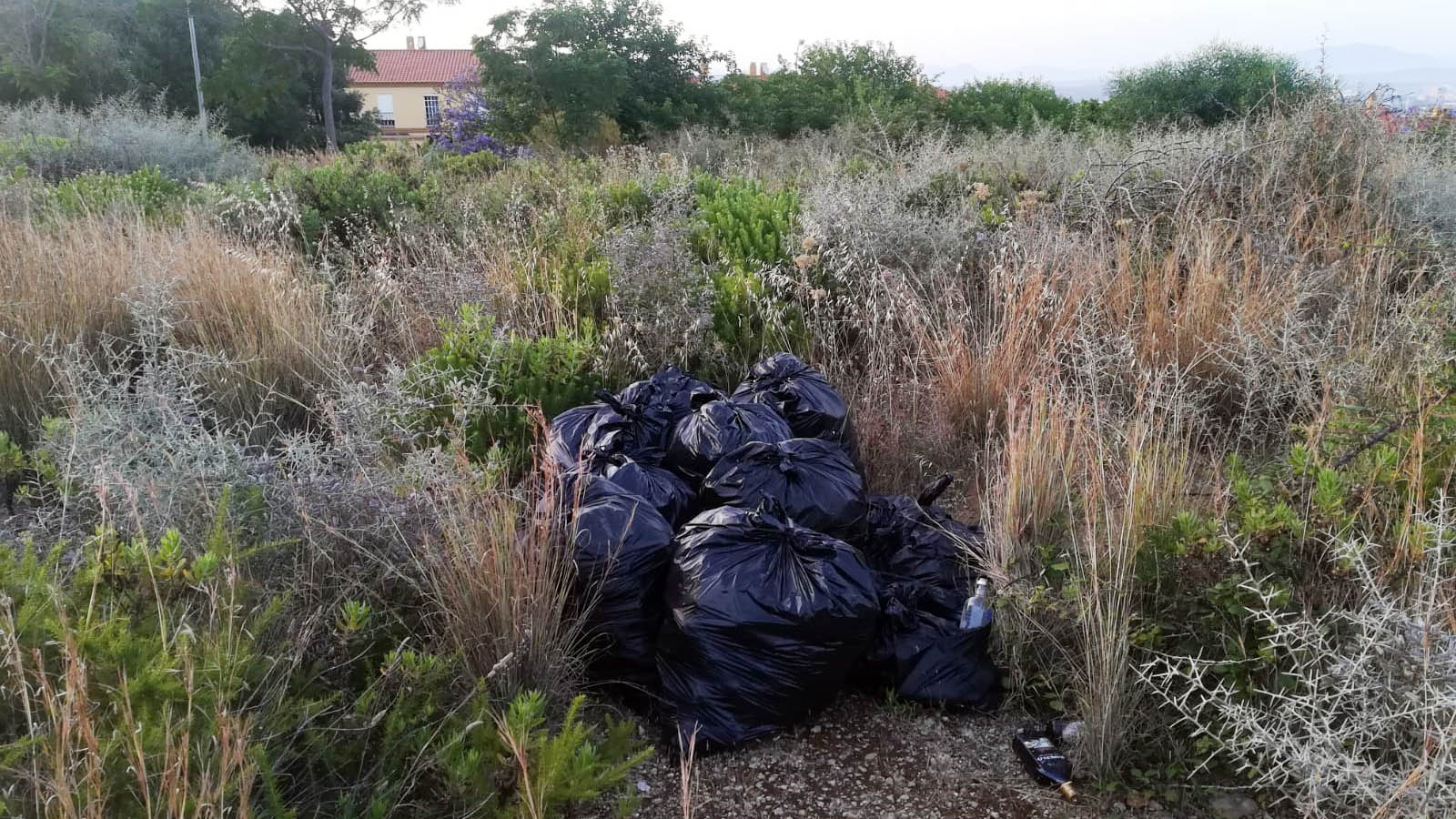 basura Algeciras