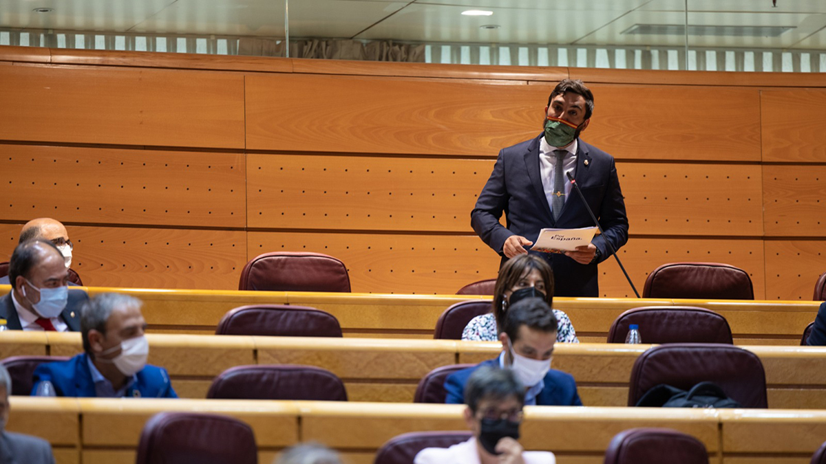González-Robatto, en el Pleno del Senado