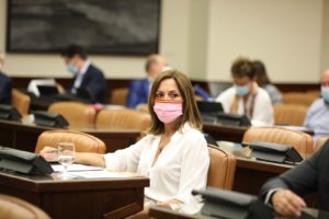 Reyes Romero en la comisión del Congreso.