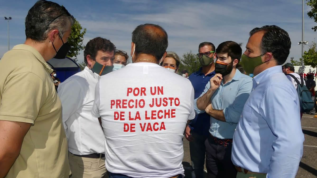 Grupo municipal Vox Talavera