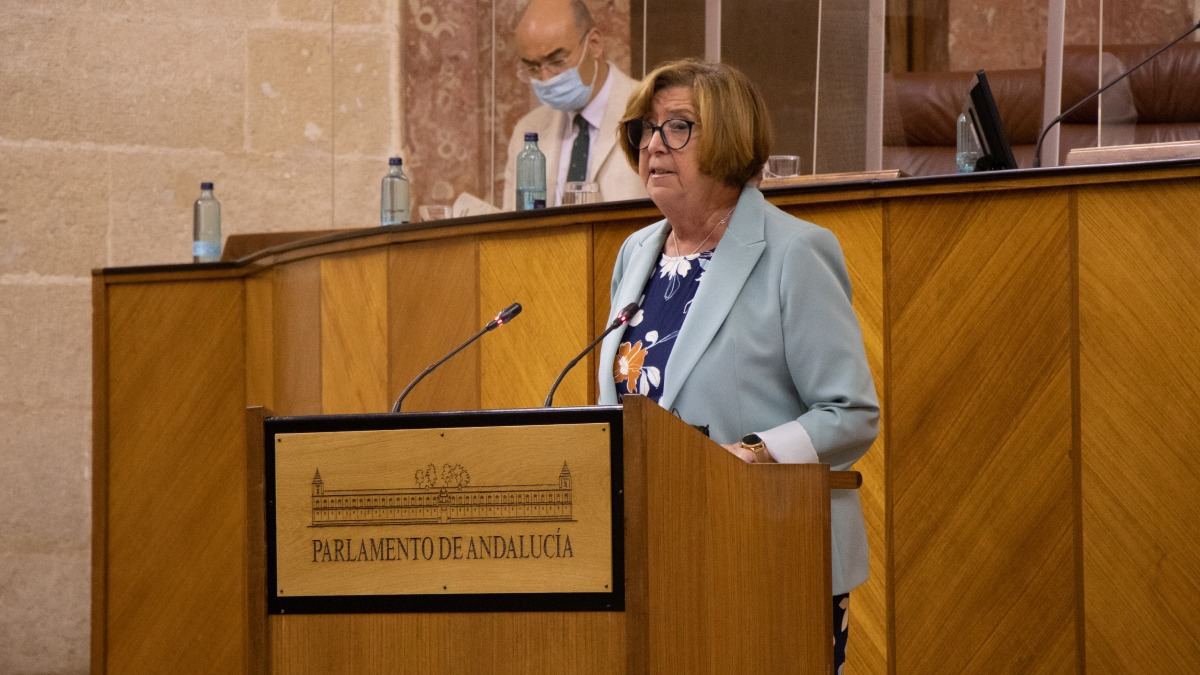 Ana Gil, en el Pleno del Parlamento