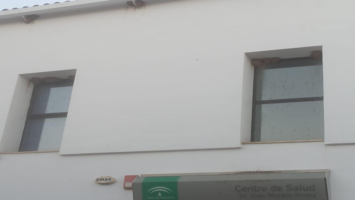 VOX exige que