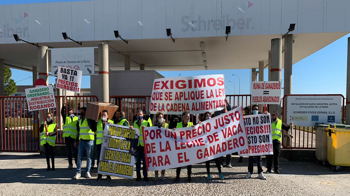 Grupo municipal Vox Talavera
