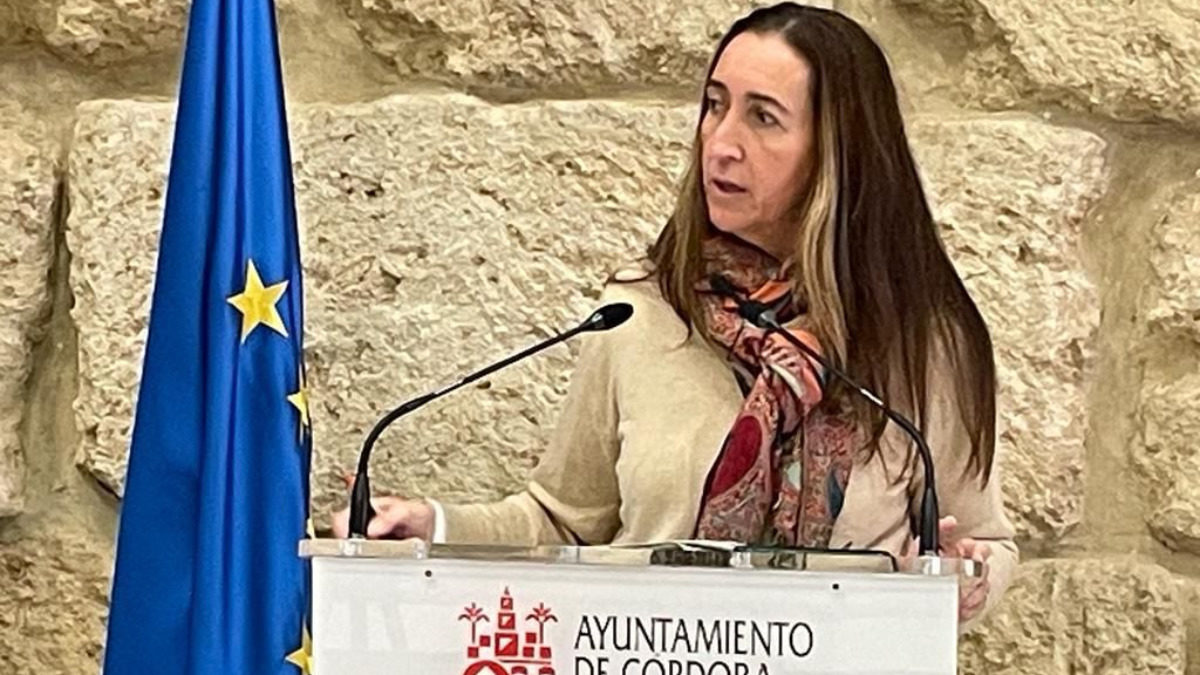VOX considera las plusvalías