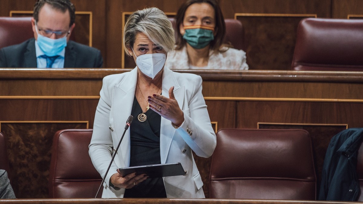 Inés Cañizares, en la sesión de control