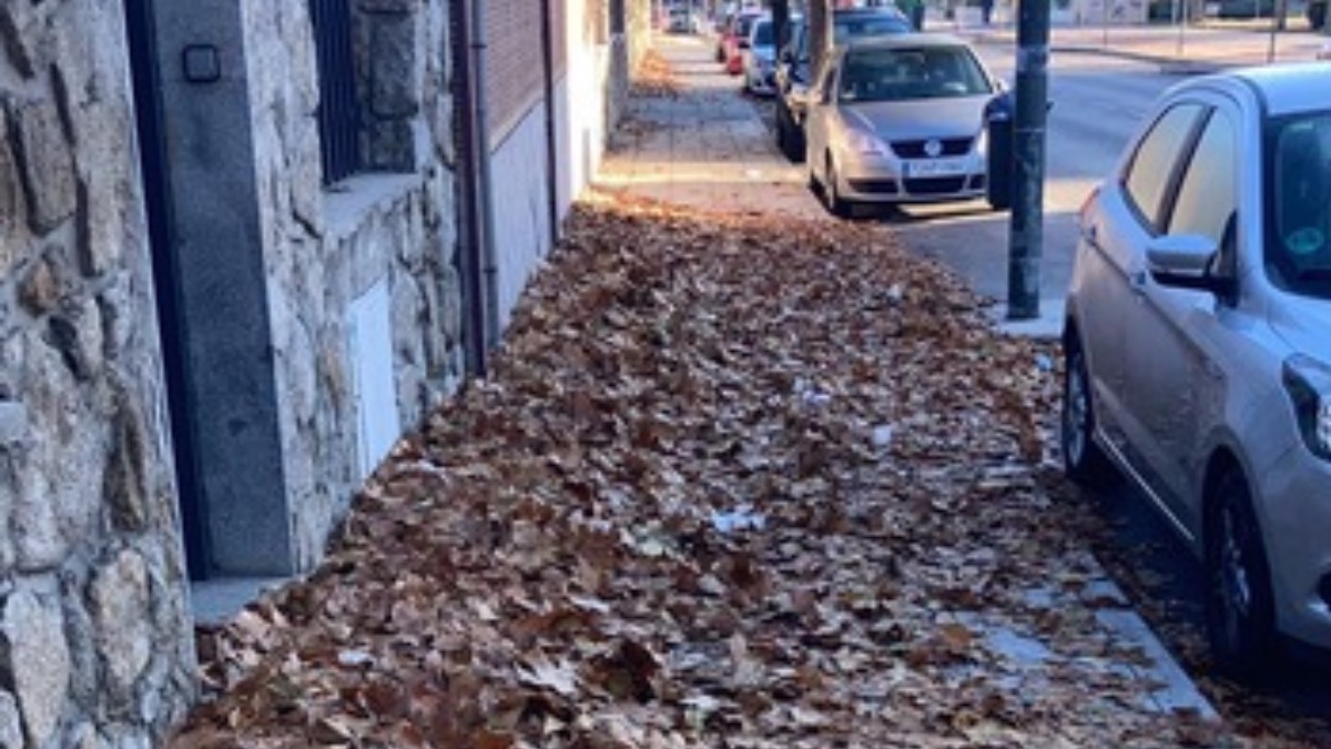 Foto cedida por VOX Coslada