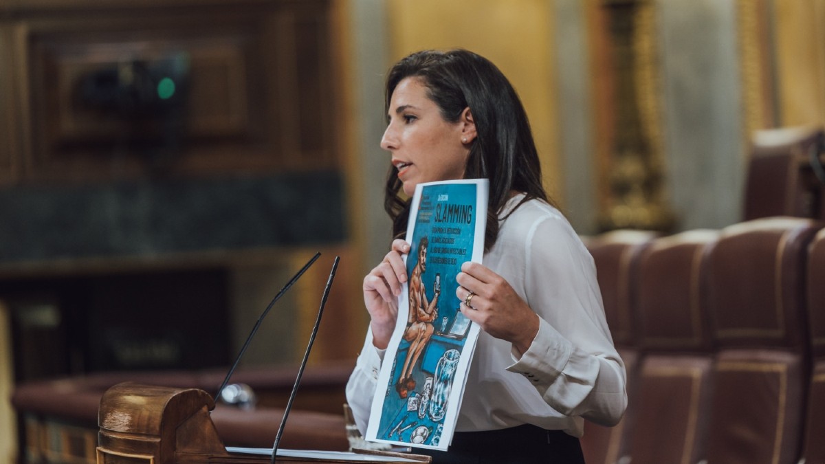 Rocío de Meer en la tribuna del Congreso