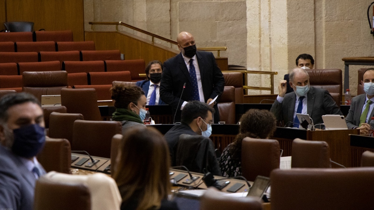 Rodrigo Alonso durante una intervención en el Pleno.