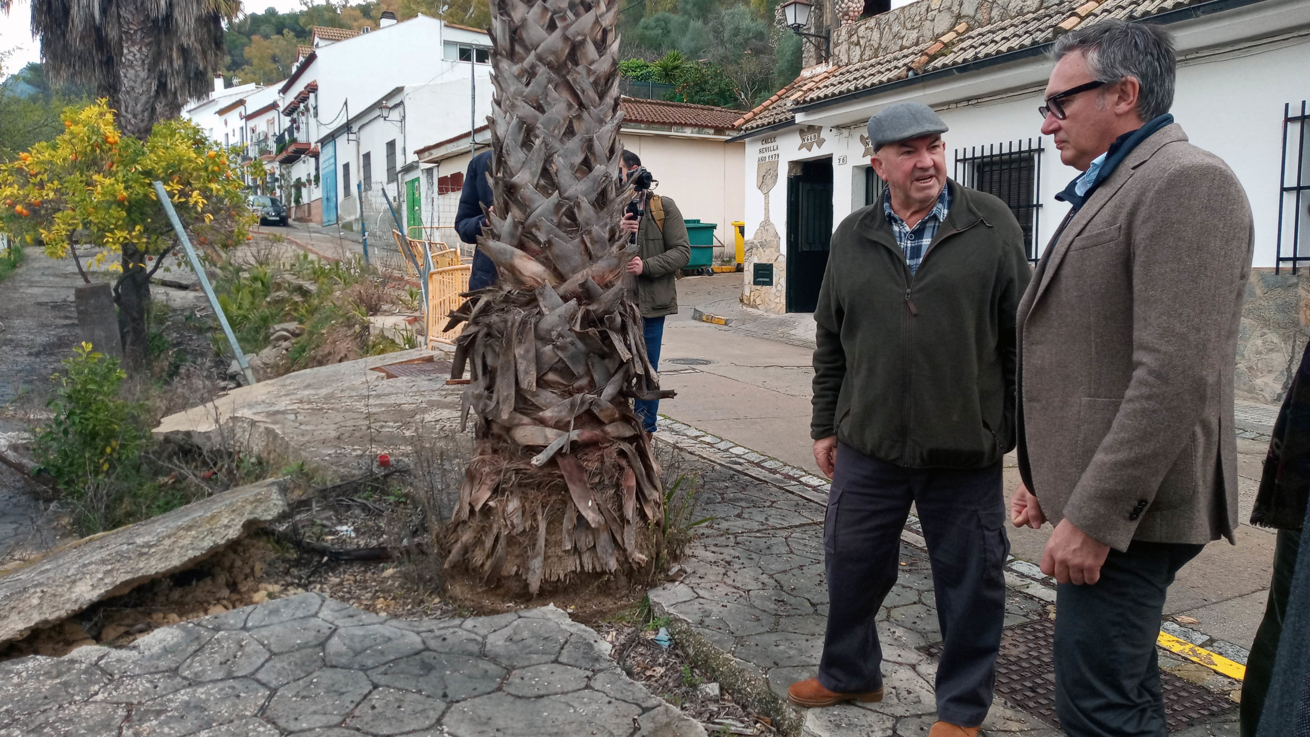 El Bosque y Prado