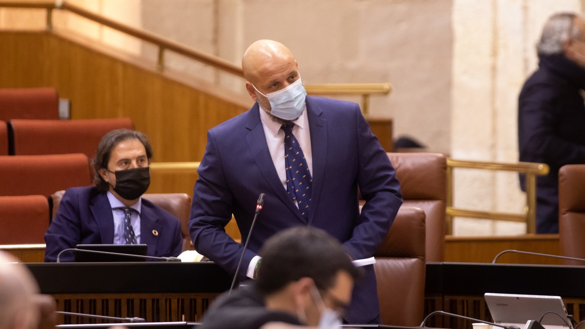 Rodrigo Alonso durante su intervención en el Pleno.