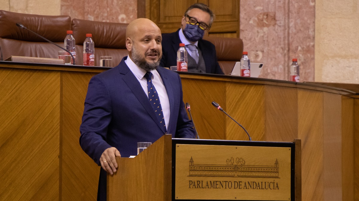 Rodrigo Alonso durante su intervención en el Pleno.