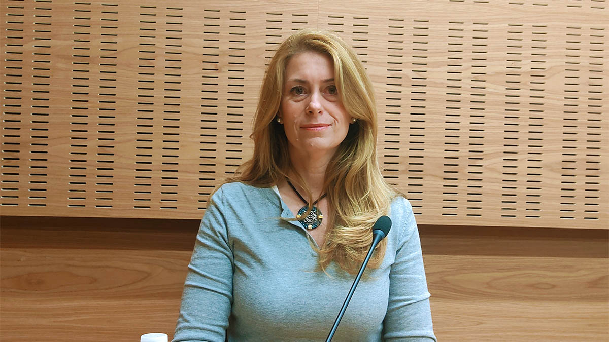 Pleno El Puerto
