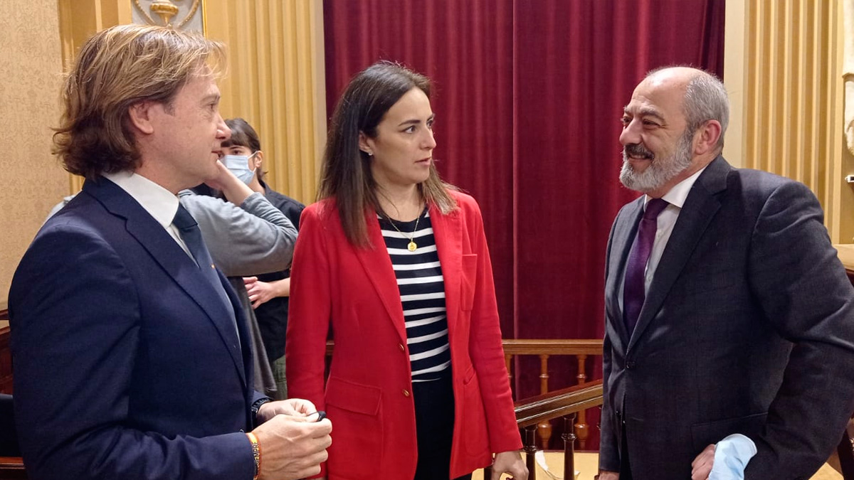 Nos hacen pasar por la vergüenza nacional e internacional de que sea el Parlamento europea el que tenga que venir a investigar