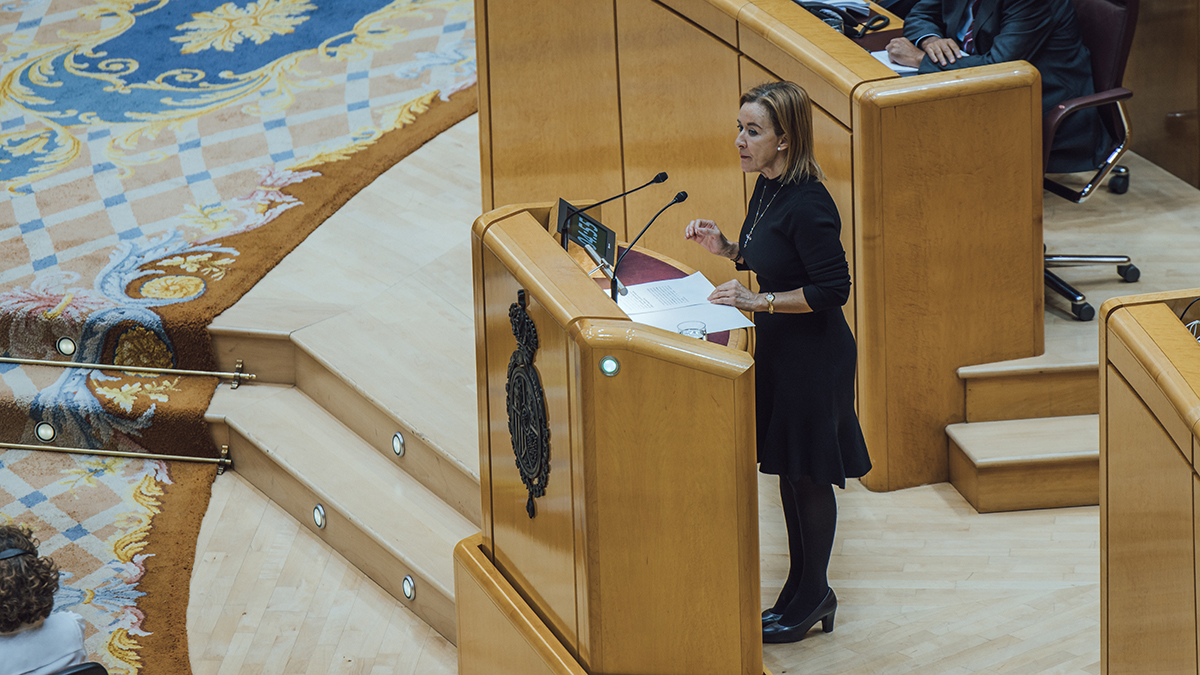 Yolanda Merelo, en el Pleno del Senado